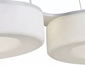 Подвесной светильник ST-Luce Lordin SL886.503.02