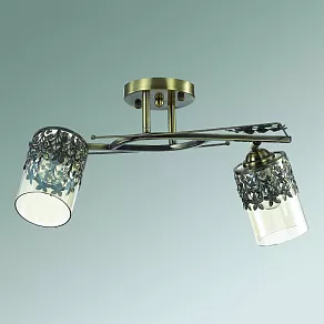 Спот Lumion Mirela 3097/2CA