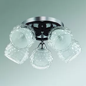 Спот Lumion Federro 3058/5C