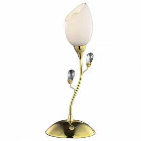Настольная лампа декоративная Odeon Light Fiera 1604/1T