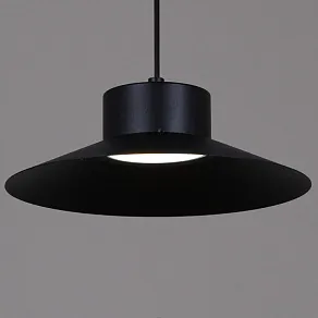 Подвесной светильник Reluce 40110 40110-0.9-03 BK