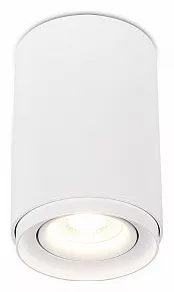 Накладной светильник SIMPLE STORY 2065 2065-1CLW