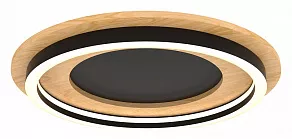 Накладной светильник Lightstar Lodi 723017