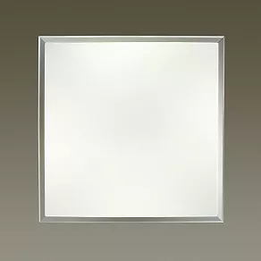 Накладной светильник Odeon Light Bernar 4624/48CL