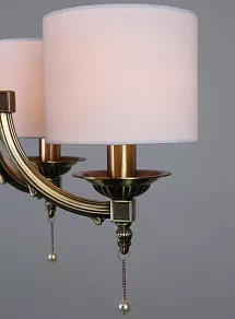 Подвесная люстра Omnilux Junchi OML-55003-05