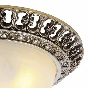 Накладной светильник Arte Lamp Torta A7131PL-2SA