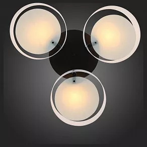 Потолочная люстра EVOLUCE Foresta SL483.402.03