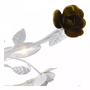 Потолочная люстра Arte Lamp Rosarium A1196PL-6WG