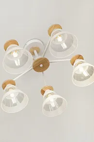 Люстра на штанге Rivoli Theothila Б0068467