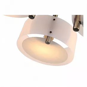 Потолочная люстра EVOLUCE Foresta SL483.352.03