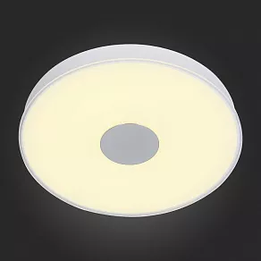 Накладной светильник ST-Luce Semplicita SL473.502.01