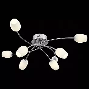 Потолочная люстра ST-Luce Luna SL478.102.08