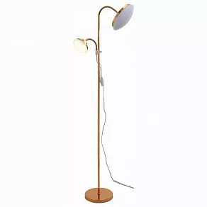 Торшер с подсветкой ST-Luce Pratico SLE120.205.02